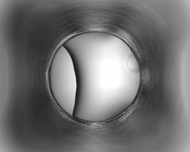 X0000088690814200705310957