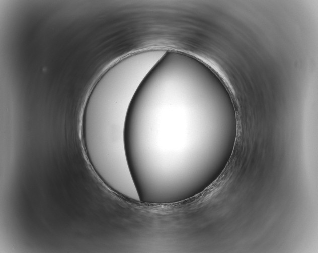 X0000088690815200705310957