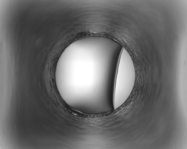 X0000088690817200705310956