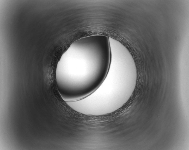 X0000088690818200705310956