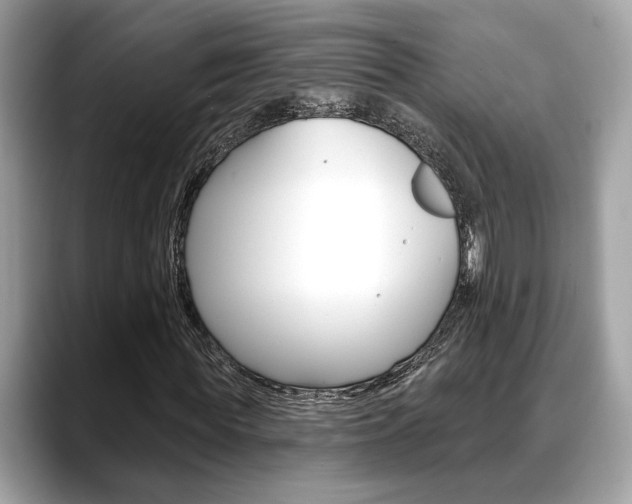 X0000088690819200705310956