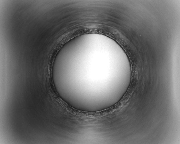 X0000088690821200705310956
