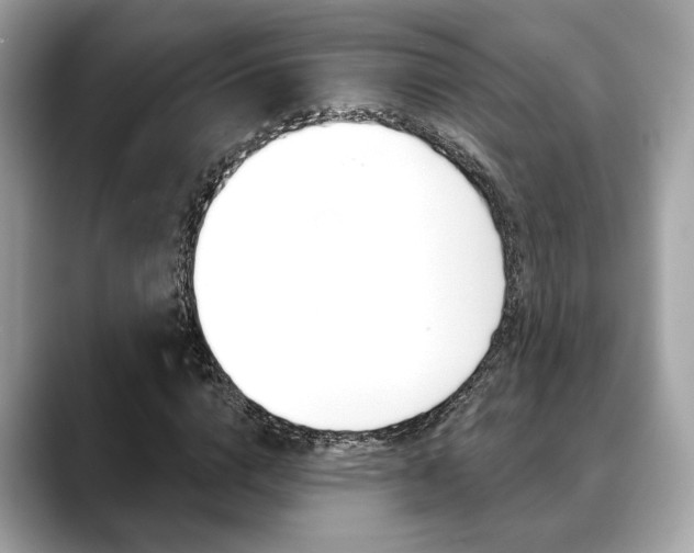 X0000088690824200705310956
