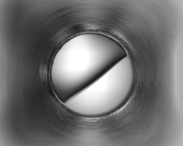 X0000088690825200705310956