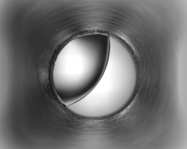 X0000088690826200705310956