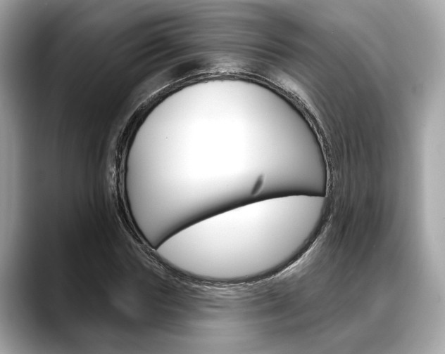X0000088690827200705310956