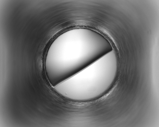 X0000088690829200705310956