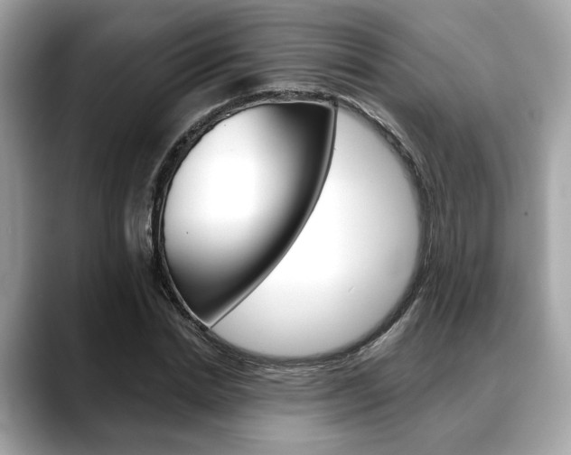 X0000088690830200705310956