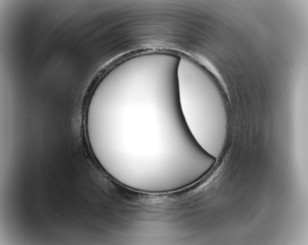 X0000088690831200705310956
