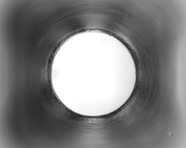 X0000088690832200705310956