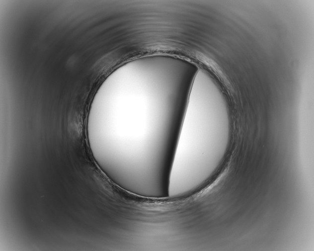 X0000088690833200705310956