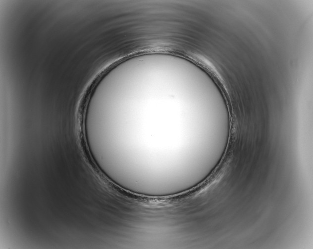 X0000088690835200705310956