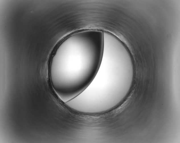 X0000088690838200705310956