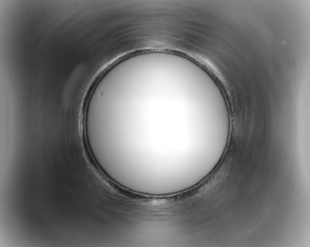 X0000088690839200705310956
