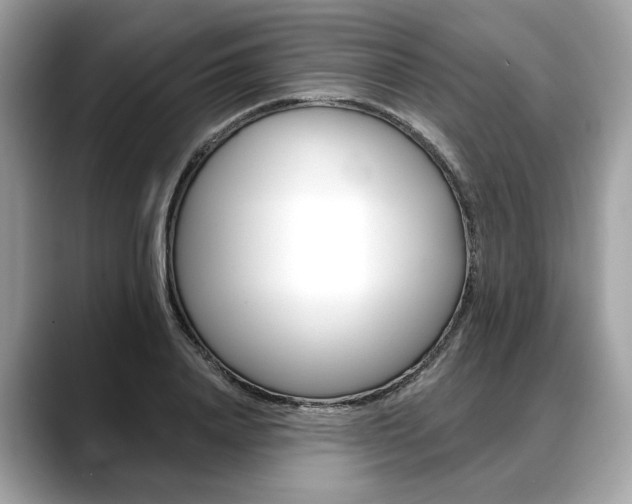 X0000088690840200705310956