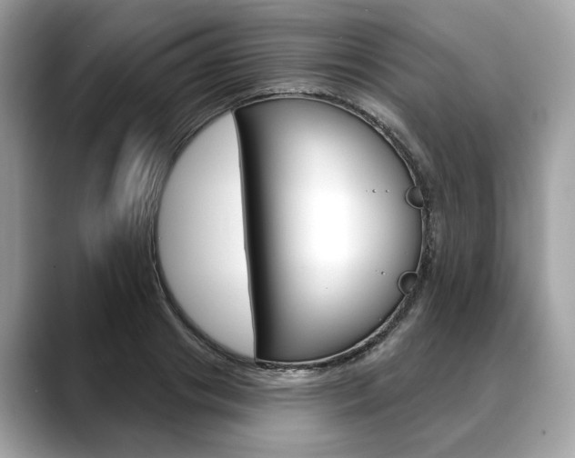 X0000088690841200705310956