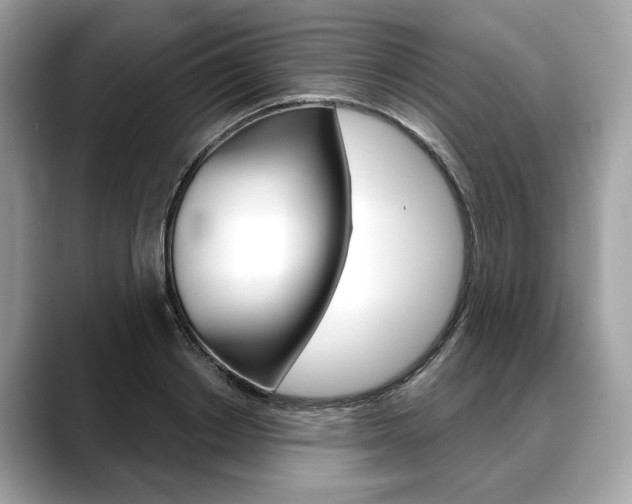 X0000088690842200705310956