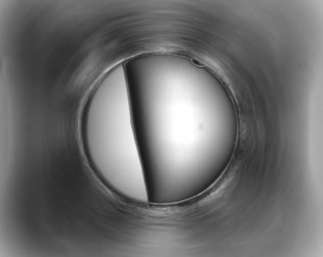 X0000088690843200705310956
