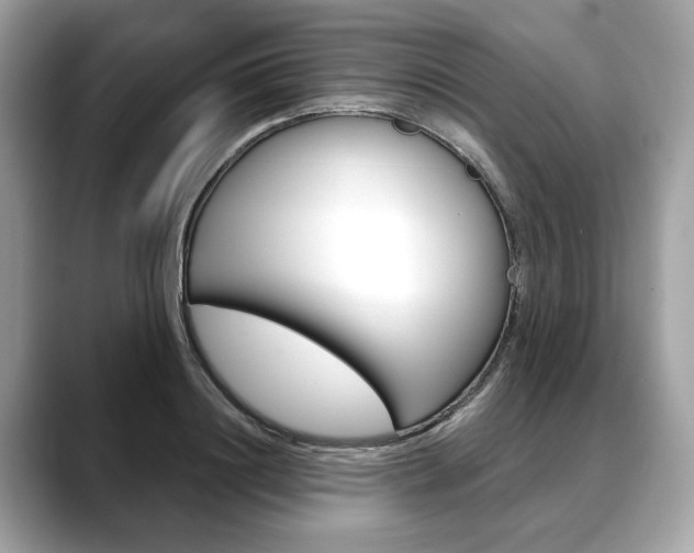 X0000088690844200705310956