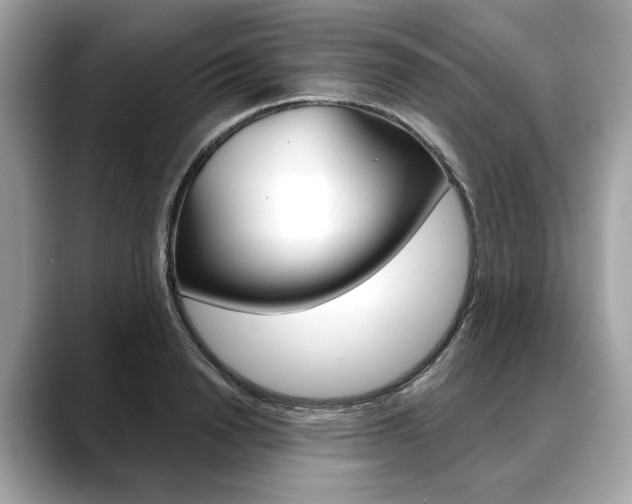 X0000088690846200705310956