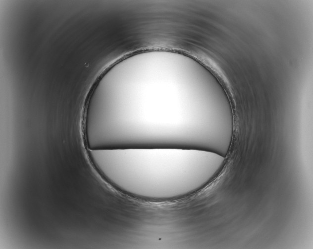 X0000088690847200705310956