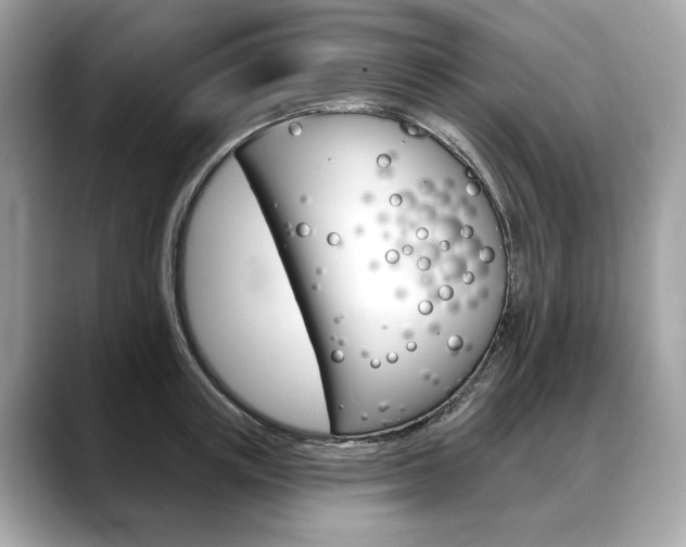 X0000088690851200705310956