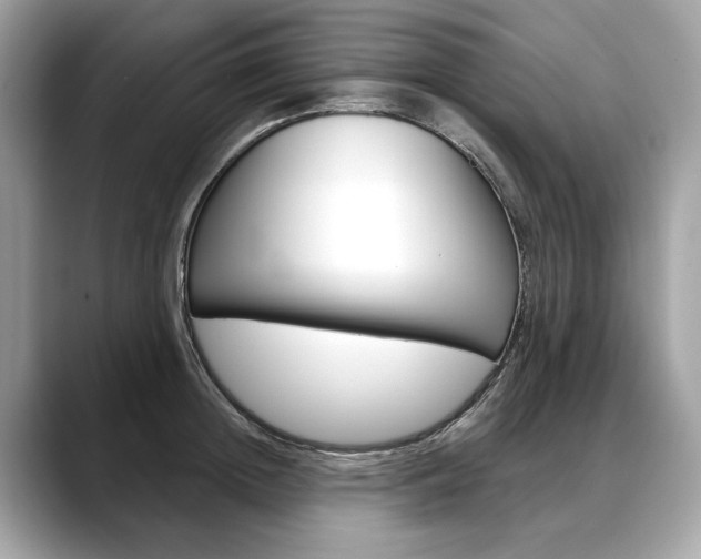 X0000088690852200705310956