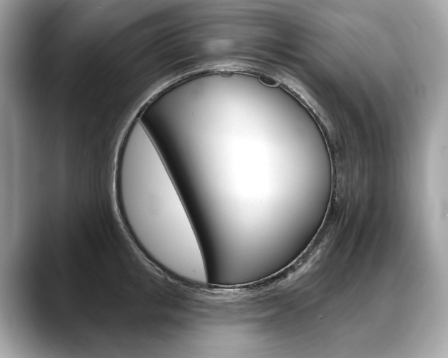 X0000088690853200705310956