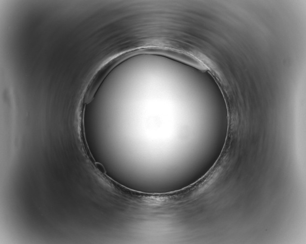 X0000088690854200705310956