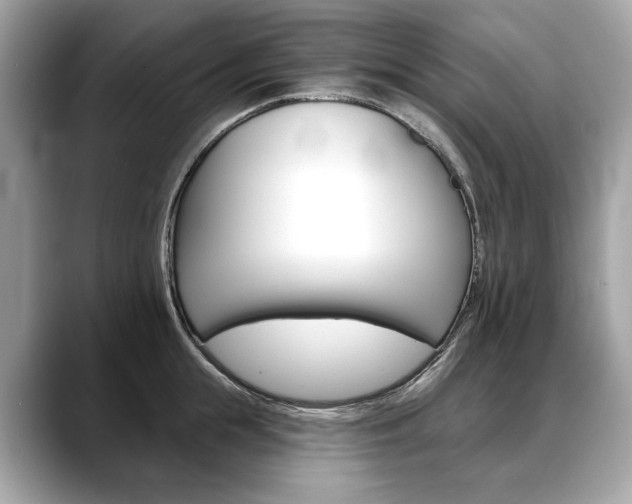X0000088690855200705310956