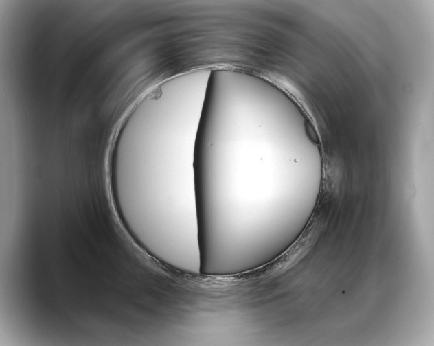 X0000088690859200705310956