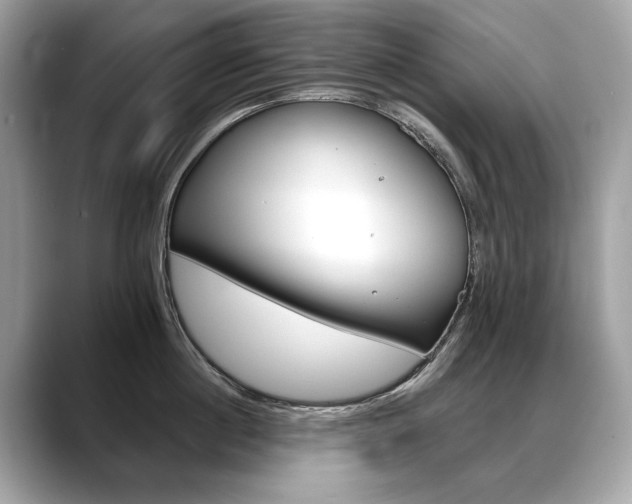 X0000088690860200705310956