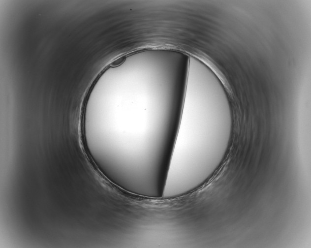 X0000088690861200705310956