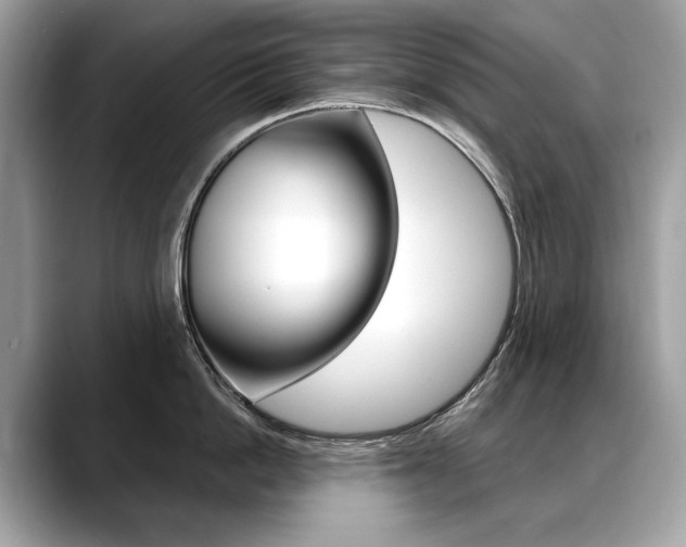 X0000088690862200705310956