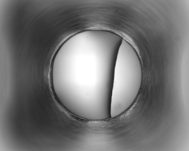 X0000088690863200705310956