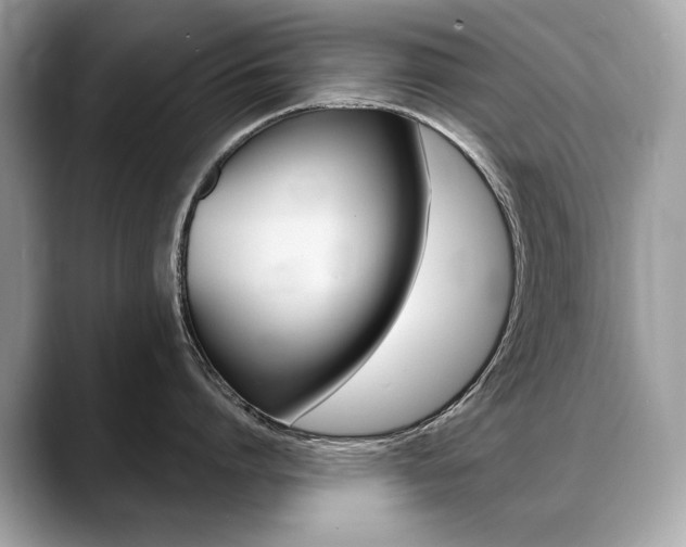 X0000088690864200705310957