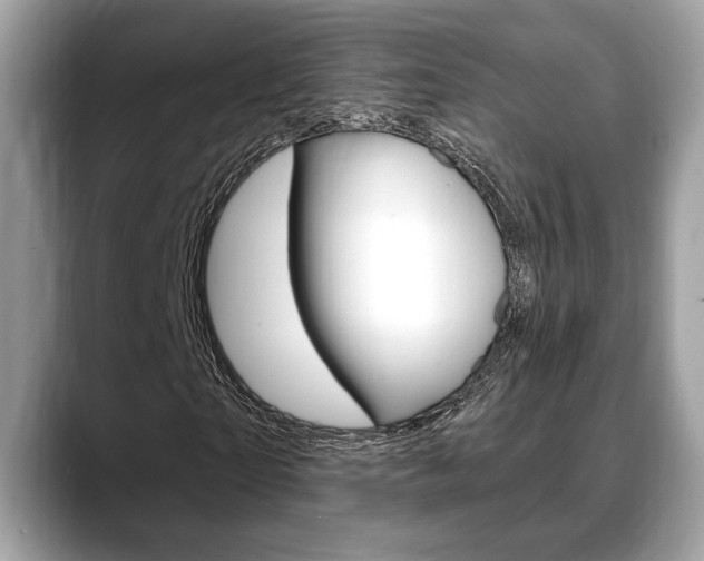 X0000088690865200705310956