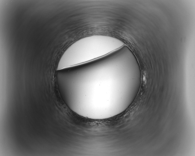 X0000088690867200705310956