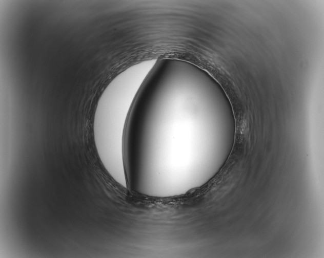 X0000088690868200705310956