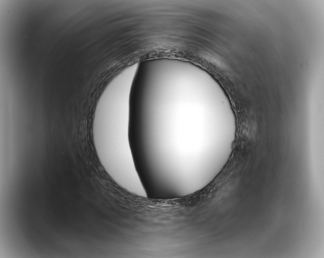 X0000088690869200705310956