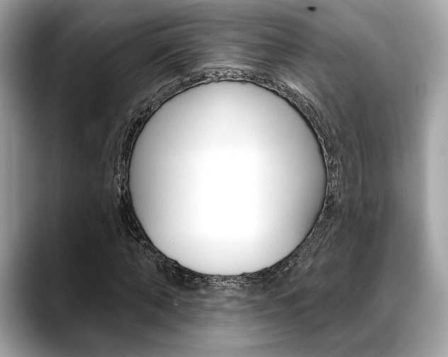 X0000088690870200705310956