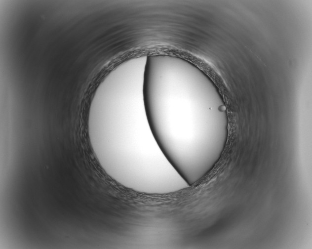 X0000088690871200705310956