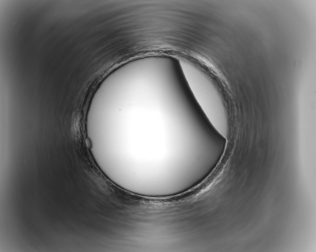X0000088690873200705310956