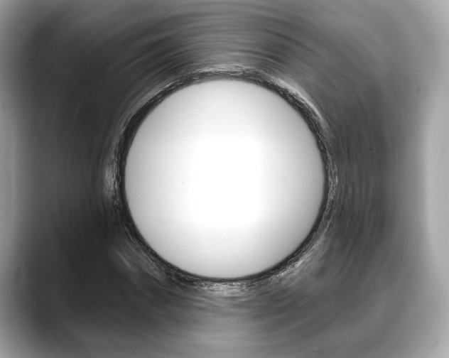 X0000088690874200705310956