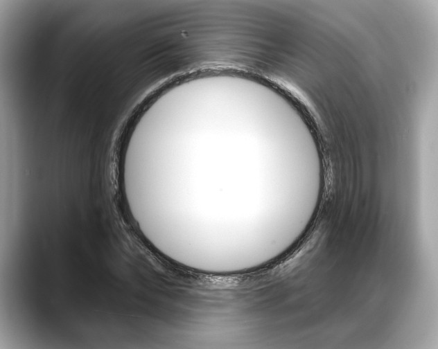 X0000088690878200705310956