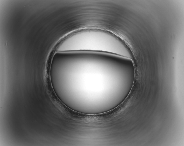 X0000088690880200705310956