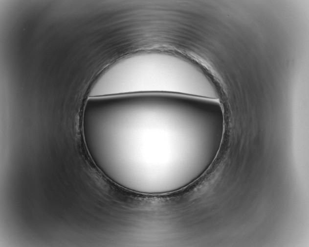 X0000088690881200705310956