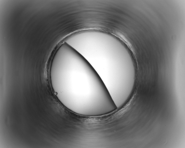 X0000088690883200705310956