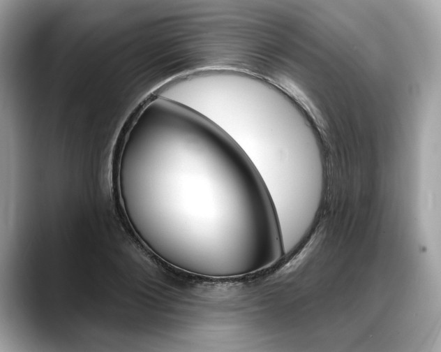X0000088690884200705310956