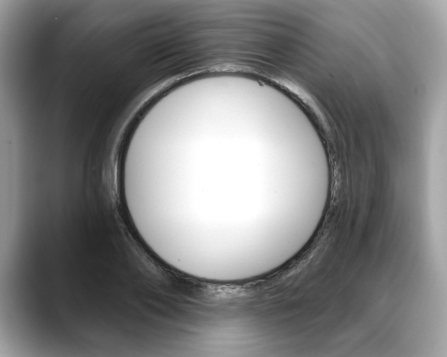 X0000088690886200705310956